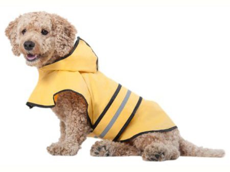 FASHION PET - Rainy Days Slicker Yellow X-Small - 8 -10  on Sale