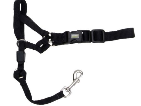 COASTAL - Walk  n Train Dog Head Halter Size 1 Black - 1 Halter Hot on Sale