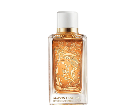 Santal Kardamon 100Ml EDP Lancome Cheap