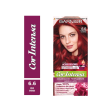 Tinte Cor Intensa 6.6 Rojo Intenso Garnier Discount