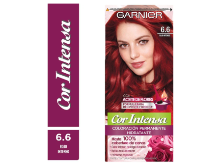 Tinte Cor Intensa 6.6 Rojo Intenso Garnier Discount