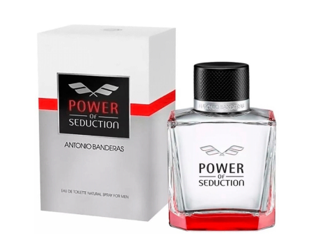 Power Of Seduction EDT 100 ml Cheap