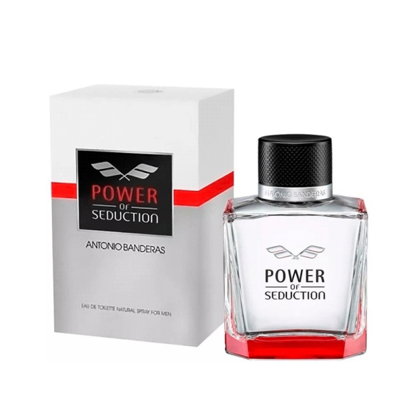 Power Of Seduction EDT 100 ml Cheap