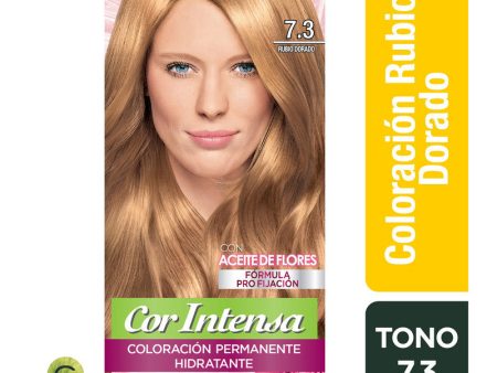 Tinte Cor Intensa 7.3 Rubio Dorado Garnier Hot on Sale