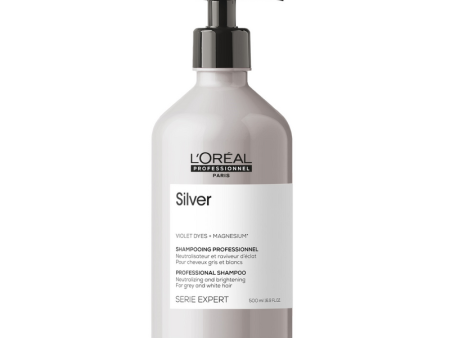 Shampoo Silver 500 ML Loreal Pro Discount