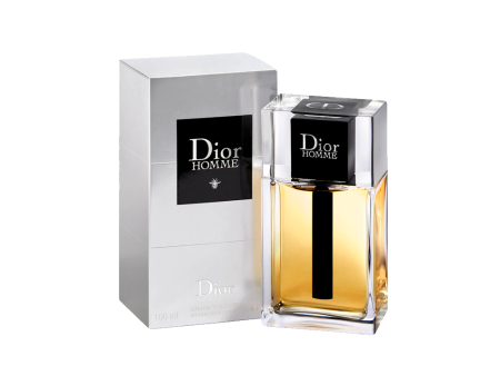 DIOR HOMME EDT 100 ML Discount