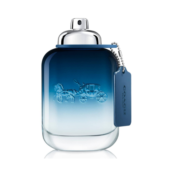 Coach Blue Coach Man EDT 100 ML TESTER Sale