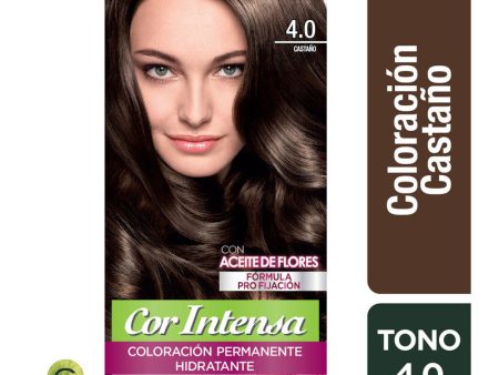 Tinte Cor Intensa 4.0 Castaño Garnier Cheap