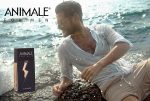 ANIMALE FOR MEN EDT 200ML HOMBRE Online Hot Sale