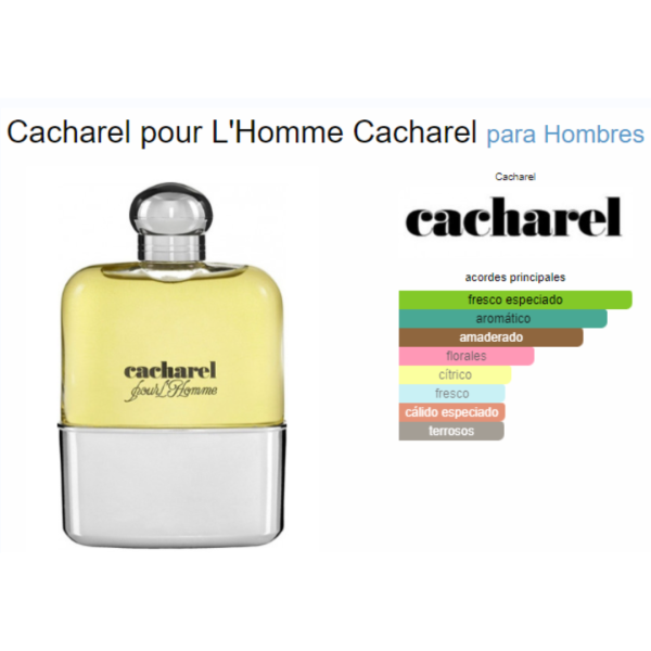 Cacharel Pour LHomme 100ML EDT Hombre Cacharel Cheap