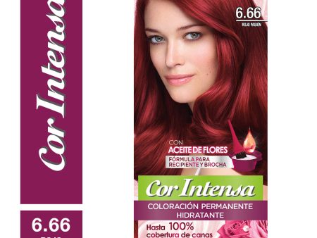 Tinte Cor Intensa 6.66 Rojo Pasión Garnier Online now