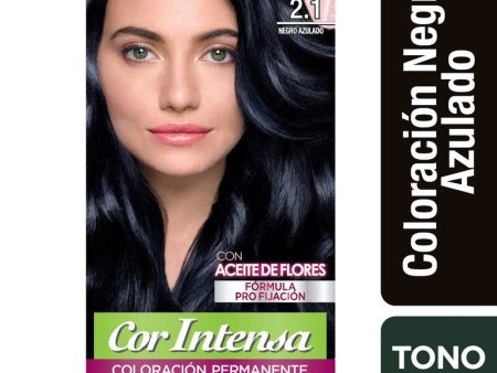 Tinte Cor Intensa 2.1 Negro Azulado Garnier on Sale