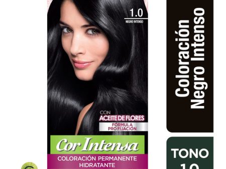 Tinte Cor Intensa 1.0 Negro Intenso Garnier Discount