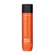 Shampoo Total Results Mega Sleek 300ml Online now